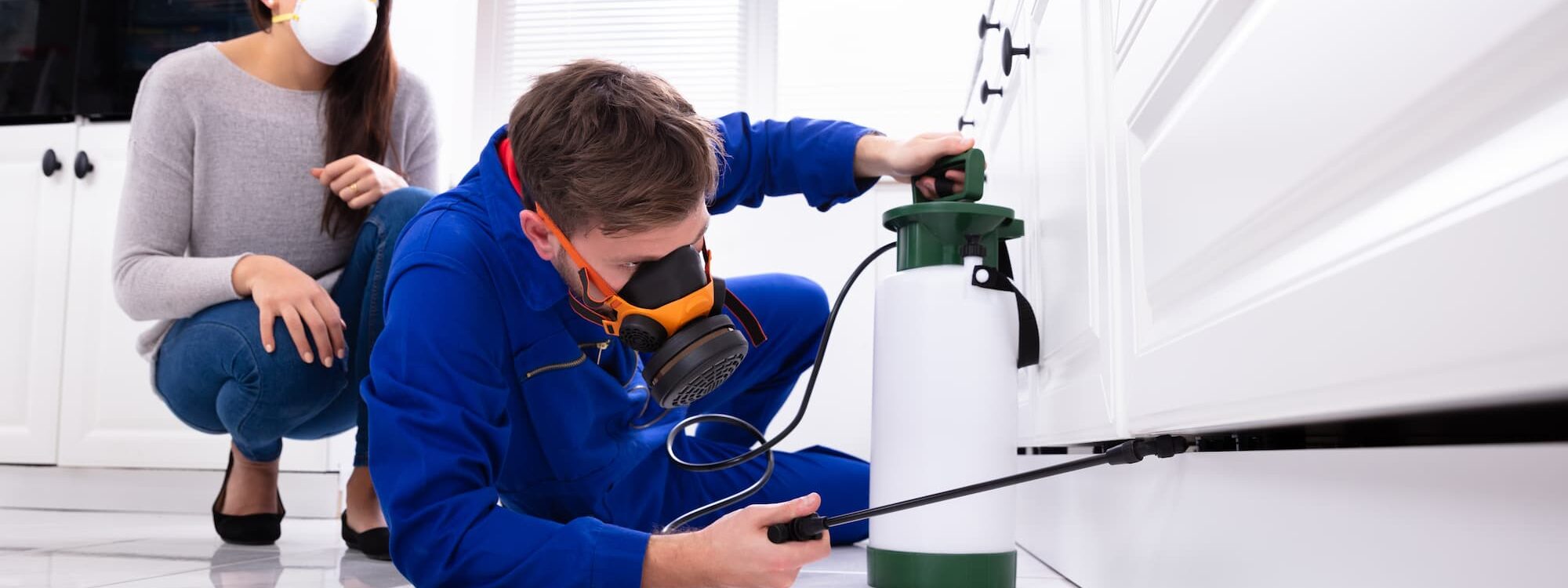 Comment &eacute;viter une infestation de punaises de lit apr&egrave;s l&rsquo;achat d&rsquo;un meuble d&rsquo;occasion ? Saverne