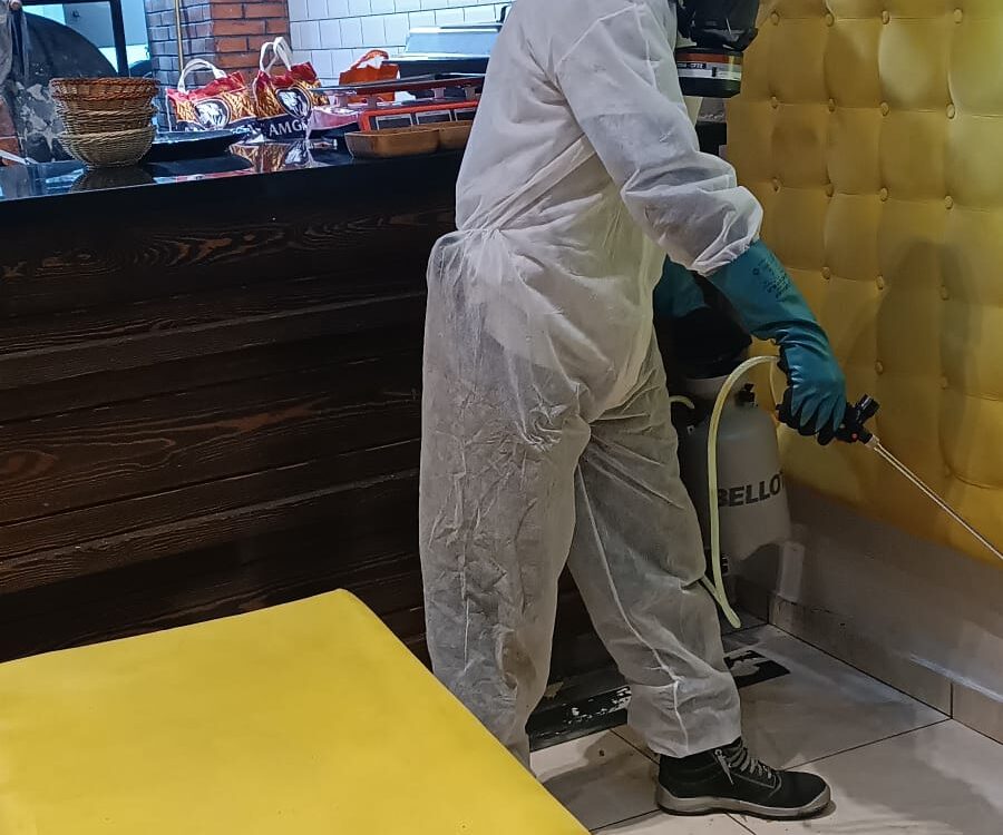 Entreprise de désinfection professionnelle à Strasbourg à proximité de Molsheim Bischwiller